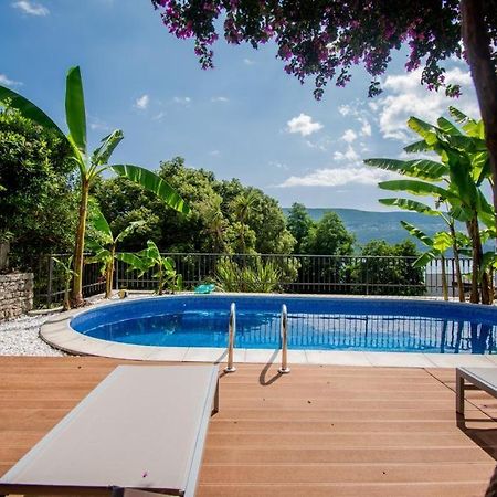 Vila Oliva Herceg Novi Exterior foto